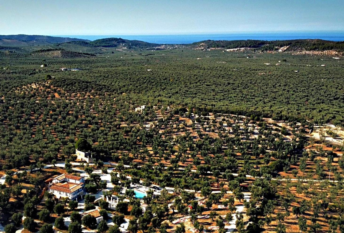 Agricampeggio - Solo Piazzole Vuote - Agriturismo Passione Natura 维耶斯泰 外观 照片