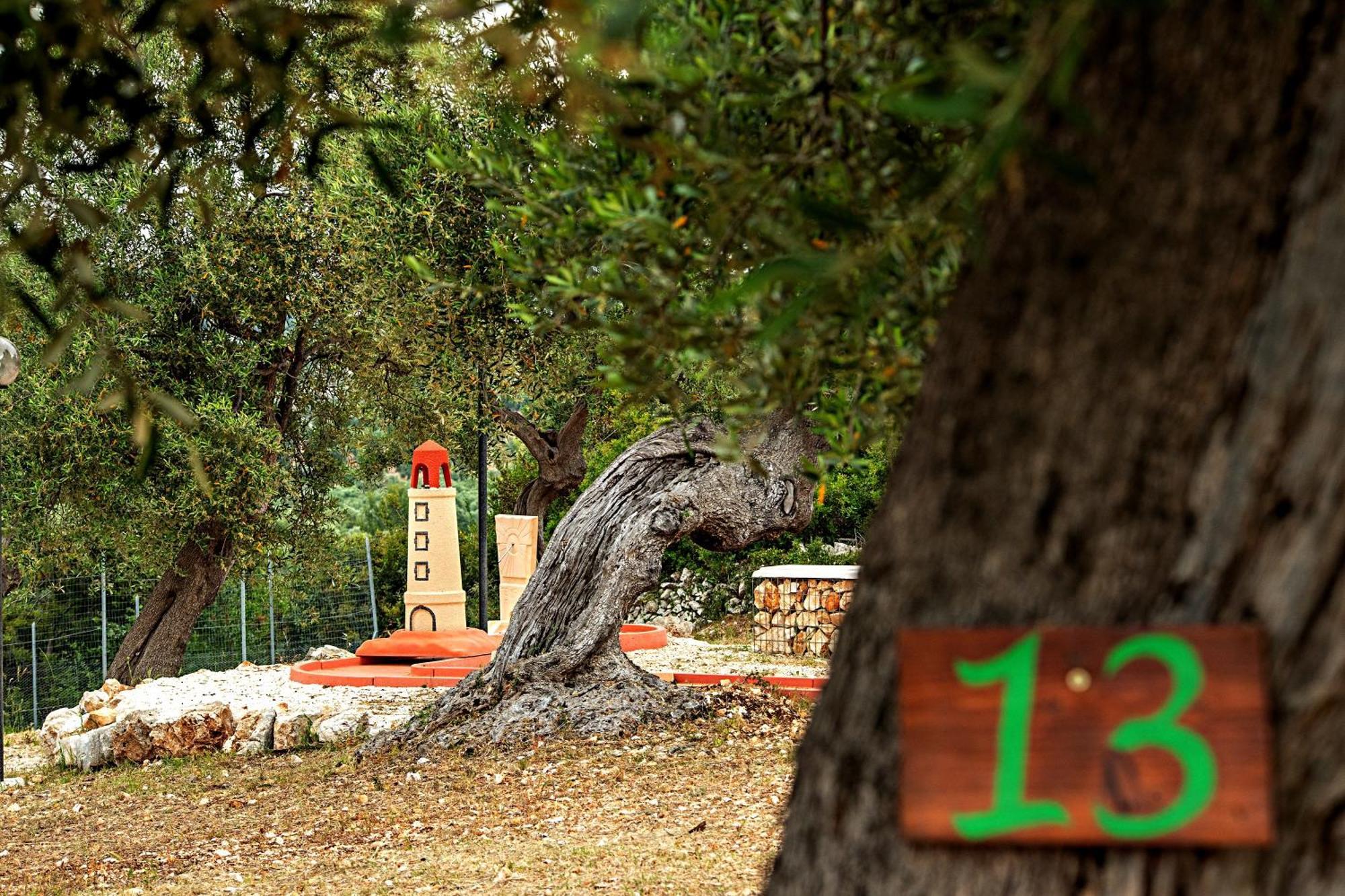 Agricampeggio - Solo Piazzole Vuote - Agriturismo Passione Natura 维耶斯泰 外观 照片