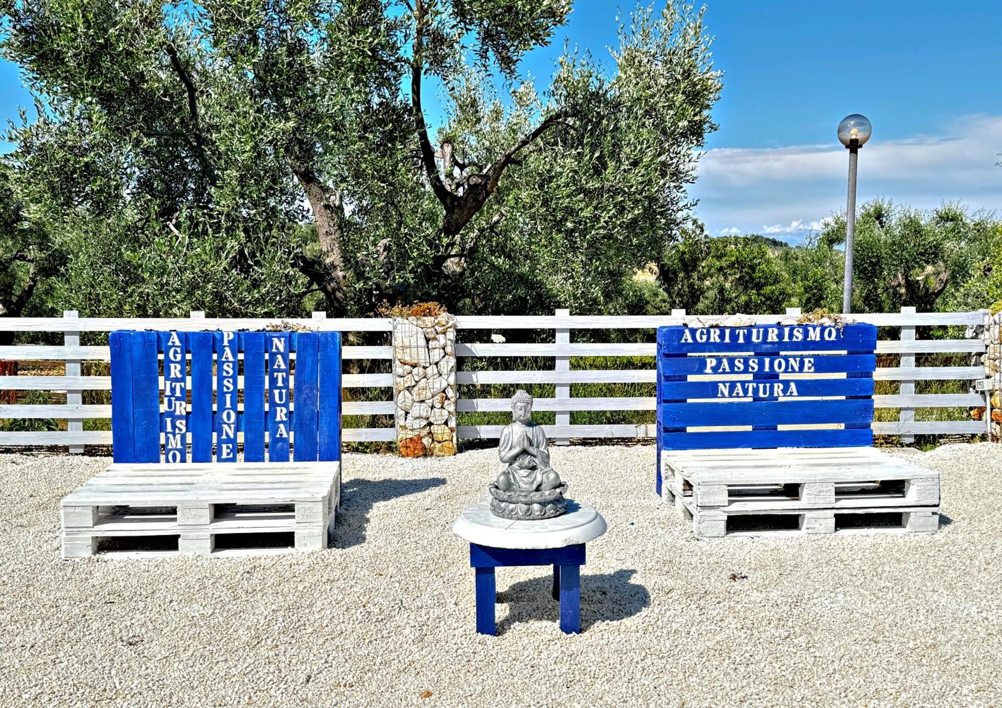Agricampeggio - Solo Piazzole Vuote - Agriturismo Passione Natura 维耶斯泰 外观 照片