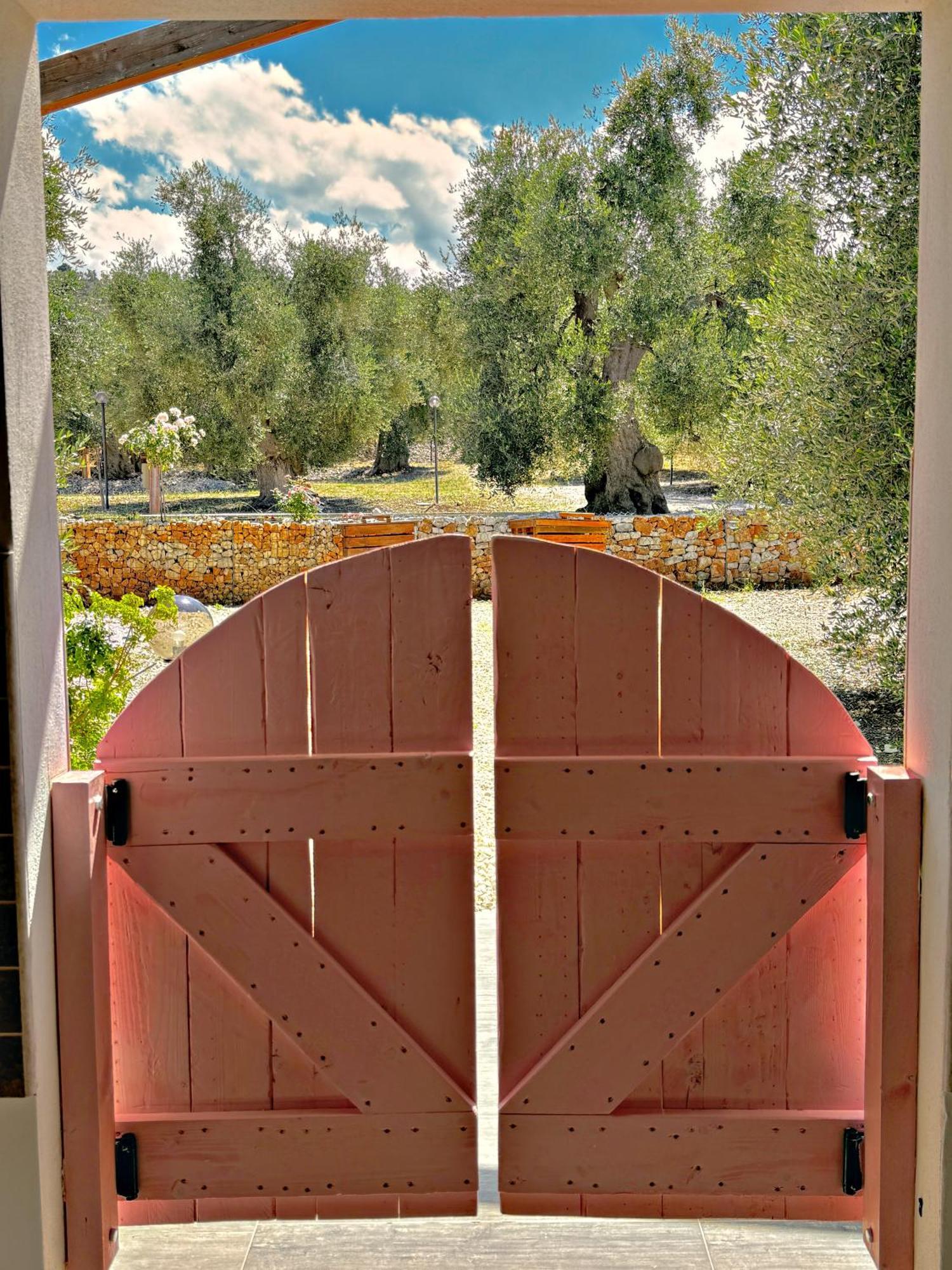 Agricampeggio - Solo Piazzole Vuote - Agriturismo Passione Natura 维耶斯泰 外观 照片